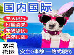 岳阳三荷机场托运国际宠物托运 【国